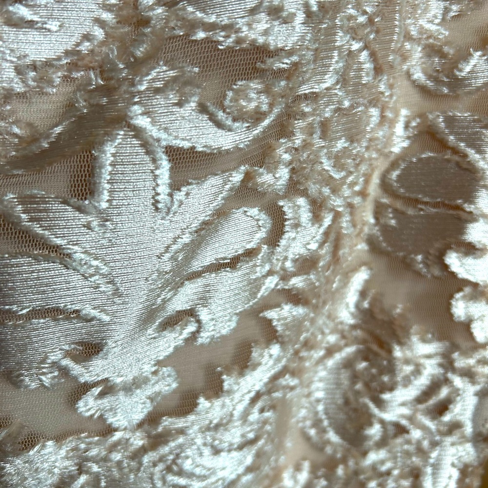 Gorgeous textured dress by Sara Campbell in size 10. Flounce sheer sleeves. NWT - Picture 4 of 6